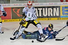 ERC Ingolstadt vs Schwenninger Wild Wings, Eishockey, DEL, Deutsche Eishockey Liga, 20.11.2015