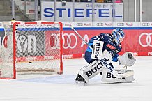 Eishockey, Herren, DEL, Saison 2024-2025, Spieltag 32, ERC Ingolstadt - Adler Mannheim, 30.12.2024
