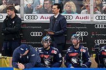Eishockey, Herren, DEL, Saison 2024-2025, Playoffs Halbfinale, Spiel 1, ERC Ingolstadt - Kölner Haie, 02.04.2025