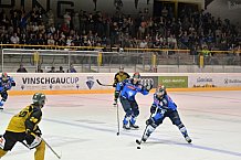 Eishockey, Herren, DEL, Saison 2023-2024, Vinschgau Cup, ERC Ingolstadt - HC Pustertal, 25.08.2023