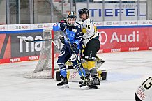 Eishockey, Frauen, DFEL, Saison 2023-2024, ERC Ingolstadt - Mad Dogs Mannheim, 18.02.2024