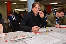 ERC Ingolstadt vs Grizzlys Wolfsburg, Eishockey, DEL, Deutsche Eishockey Liga, 31.01.2016