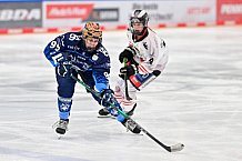 Eishockey, Frauen, DFEL, Saison 2024-2025, ERC Ingolstadt - ECDC Memmingen Indians, 16.11.2024