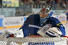 ERC Ingolstadt vs Eisbären Berlin, Eishockey, DEL, Deutsche Eishockey Liga, Spieltag 9, 14.10.2016