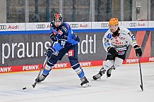 Eishockey, Herren, DEL, Saison 2023-2024, Spieltag 45, ERC Ingolstadt - Fischtown Pinguins, 27.02.2024