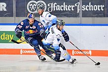 EHC Red Bull München vs ERC Ingolstadt, DEL, Deutsche Eishockey Liga, Spieltag 47, 21.02.2020