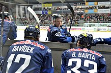 Augsburger Panther vs ERC Ingolstadt, Eishockey, DEL, Deutsche Eishockey Liga, 11.12.2015
