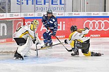 Eishockey, Frauen, DFEL, Saison 2021-2022, ERC Ingolstadt - Mad Dogs Mannheim, 24.10.2021