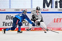 Eishockey, Herren, DEL, Saison 2024-2025, Spieltag 36, ERC Ingolstadt - Kölner Haie, 12.01.2025
