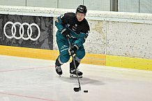 Eishockey, Herren, DEL, Saison 2026-2027, ERC Ingolstadt - HC Verva Litvinov - Steinbach Black Wings Linz, 22.08.2026