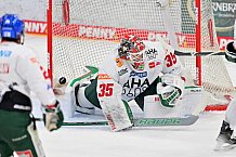 Eishockey, Herren, DEL, Saison 2023-2024, Spieltag 35, ERC Ingolstadt - Augsburger Panther, 05.01.2024