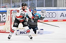 Eishockey, Herren, DEL, Saison 2026-2027, Spieltag 6, ERC Ingolstadt - Kölner Haie, 04.10.2026