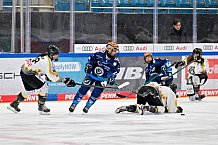 Eishockey, Frauen, DFEL, Saison 2024-2025, ERC Ingolstadt - Mad Dogs Mannheim, 23.11.2024