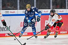 Eishockey, Frauen, DFEL, Saison 2024-2025, ERC Ingolstadt - EC Bergkamener Bären, 05.01.2025