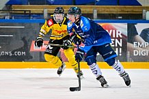 Eishockey, Herren, U20 DNL, Saison 2025-2026, Halbfinale - Spiel 5, ERC Ingolstadt - Krefelder EV 81, 24.03.2026