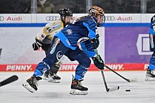 Eishockey, Frauen, DFEL, Saison 2024-2025, ERC Ingolstadt - Mad Dogs Mannheim, 23.11.2024