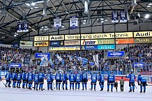 Eishockey, Herren, DEL, Saison 2025-2026, Spiel 16, ERC Ingolstadt - Kölner Haie, 31.10.2025