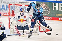 Eishockey, Herren, DEL, Saison 2022-2023, Playoff-Finale - Spiel 2, ERC Ingolstadt - EHC Red Bull München, 16.04.2023