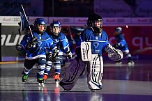 ERC Ingolstadt vs Augsburger Panther, Eishockey, DEL, Deutsche Eishockey Liga, Spieltag 37, 30.12.2017