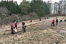 Eishockey, Herren, DEL, Saison 2023-2024, ERC Ingolstadt - Baumpflanzaktion, 03.03.2024