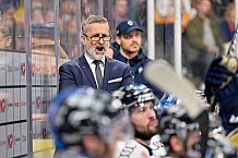 Eishockey, Herren, DEL, Saison 2024-2025, Playoffs Viertelfinale, Spiel 6, Nürnberg Ice Tigers - ERC Ingolstadt, 28.03.2025