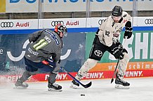 Eishockey, Herren, DEL, Saison 2023-2024, Spieltag 36, ERC Ingolstadt - Kölner Haie, 07.01.2024