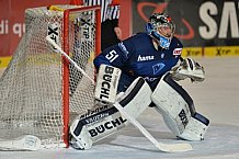 ERC Ingolstadt vs Hamburg Freezers, Eishockey, DEL, Deutsche Eishockey Liga, 10.01.2016
