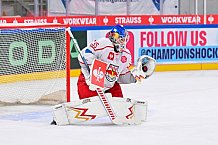 Hockey, Mens, CHL, Season 2025-2026, Regular Season, Round of 16, ERC Ingolstadt - EC Red Bull Salzburg, 12.11.2025