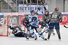Eishockey, Herren, DEL, Saison 2023-2024, Spieltag 30, ERC Ingolstadt - Straubing Tigers, 23.12.2023