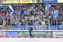 Eishockey, Herren, DEL, Saison 2024-2025, Spieltag 19, ERC Ingolstadt - Grizzlys Wolfsburg, 24.11.2024
