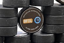 Eishockey, Frauen, DFEL, Saison 2022-2023, ERC Ingolstadt - Mad Dogs Mannheim, 19.11.2022