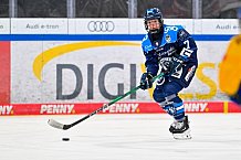 Eishockey, Frauen, DFEL, Saison 2025-2026, Testspiel, ERC Ingolstadt - HC Davos, 14.02.2026