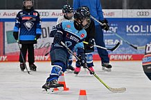 Eishockey, Herren, DEL, Saison 2024-2025, ERC Ingolstadt - Kids On Ice Day, 11.01.2025
