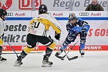 Eishockey, Frauen, DFEL, Saison 2023-2024, ERC Ingolstadt - Mad Dogs Mannheim, 18.02.2024