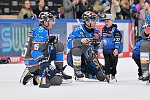 Eishockey, Herren, DEL, Saison 2023-2024, Spieltag 38, ERC Ingolstadt - Adler Mannheim, 14.01.2024