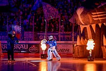 Eishockey, Herren, DEL, Saison 2025-2026, Spiel 38, ERC Ingolstadt - Kölner Haie, 09.01.2026