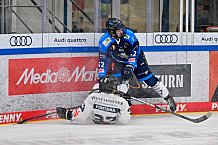 Eishockey, Herren, U20 DNL, Saison 2025-2026, ERC Ingolstadt - ESC Dresden, 14.02.2026