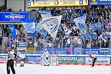 Eishockey, Herren, DEL, Saison 2025-2026, Spiel 14, ERC Ingolstadt - Adler Mannheim, 26.10.2025