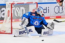 Eishockey, Herren, DEL, Saison 2025-2026, Spiel 26, ERC Ingolstadt - Schwenninger Wild Wings, 07.12.2025