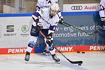Eishockey, Frauen, DFEL, Saison 2020-2021, ERC Ingolstadt - Eisbären Juniors Berlin, 09.01.2021