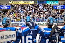 Eishockey, Herren, DEL, Saison 2025-2026, Spiel 51, ERC Ingolstadt - Augsburger Panther, 13.03.2026