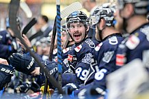 Eishockey, Herren, DEL, Saison 2024-2025, Spieltag 17, ERC Ingolstadt - Adler Mannheim, 17.11.2024