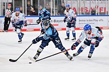Eishockey, Herren, DEL, Saison 2022-2023, Playoff-Halbfinale - Spiel 3, ERC Ingolstadt - Adler Mannheim, 04.04.2023