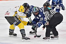 Eishockey, Frauen, DFEL, Saison 2021-2022, ERC Ingolstadt - Mad Dogs Mannheim, 24.10.2021