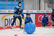 Eishockey, Herren, DEL, Saison 2022-2023, ERC Ingolstadt - Kids On Ice Day, 19.11.2022