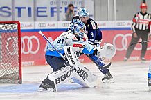 Eishockey, Herren, DEL, Saison 2024-2025, Vorbereitung, ERC Ingolstadt - Dresdner Eislöwen, 18.08.2024