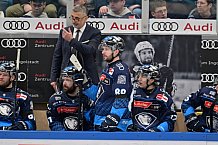 Eishockey, Herren, DEL, Saison 2024-2025, Spieltag 42, ERC Ingolstadt - Kölner Haie, 31.01.2025