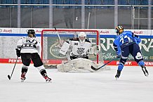 Eishockey, Frauen, DFEL, Saison 2023-2024, ERC Ingolstadt - Amsterdam Tigers, 06.01.2024