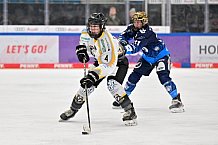 Eishockey, Frauen, DFEL, Saison 2024-2025, ERC Ingolstadt - Mad Dogs Mannheim, 23.11.2024