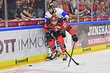 Koelner Haie vs ERC Ingolstadt, DEL, Deutsche Eishockey Liga, Playoffs, Viertelfinale, Spiel 7, 31.03.2019